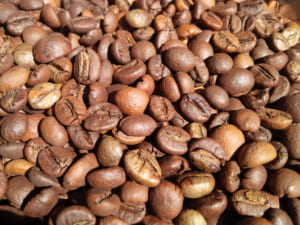 Cà phê hạt bột nguyên chất 100% - 1