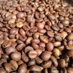 Cà phê hạt bột nguyên chất 100% - 4